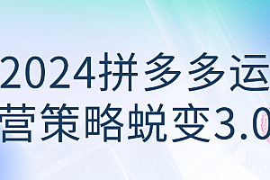 【课程】2024拼多多运营策略蜕变3.0